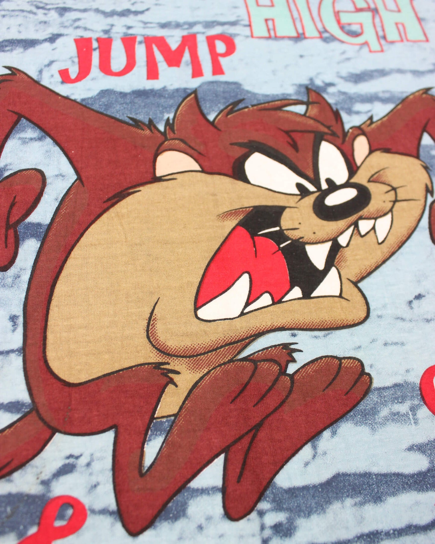 Taz Looney Tunes T-Shirt