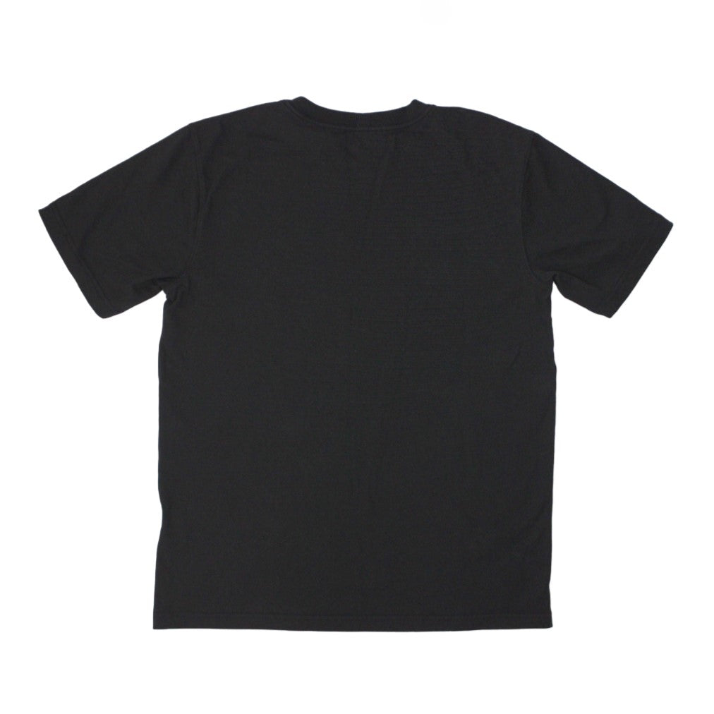 Carhartt Spellout T-Shirt Relaxed Fit Heavyweight Spring 2022 tk3361