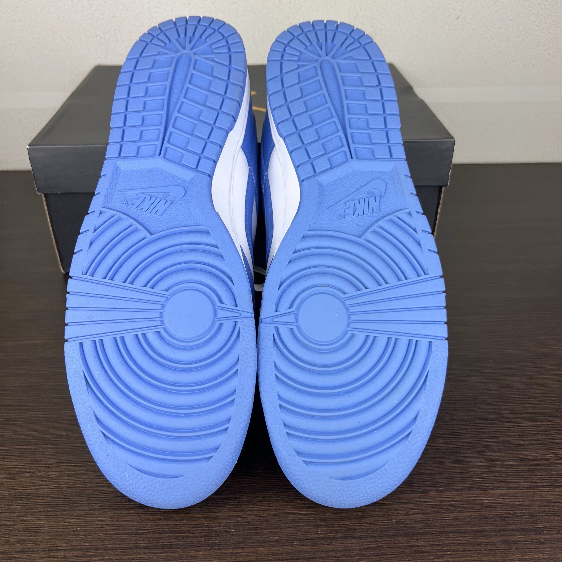 Nike Dunk Low Polar Blue