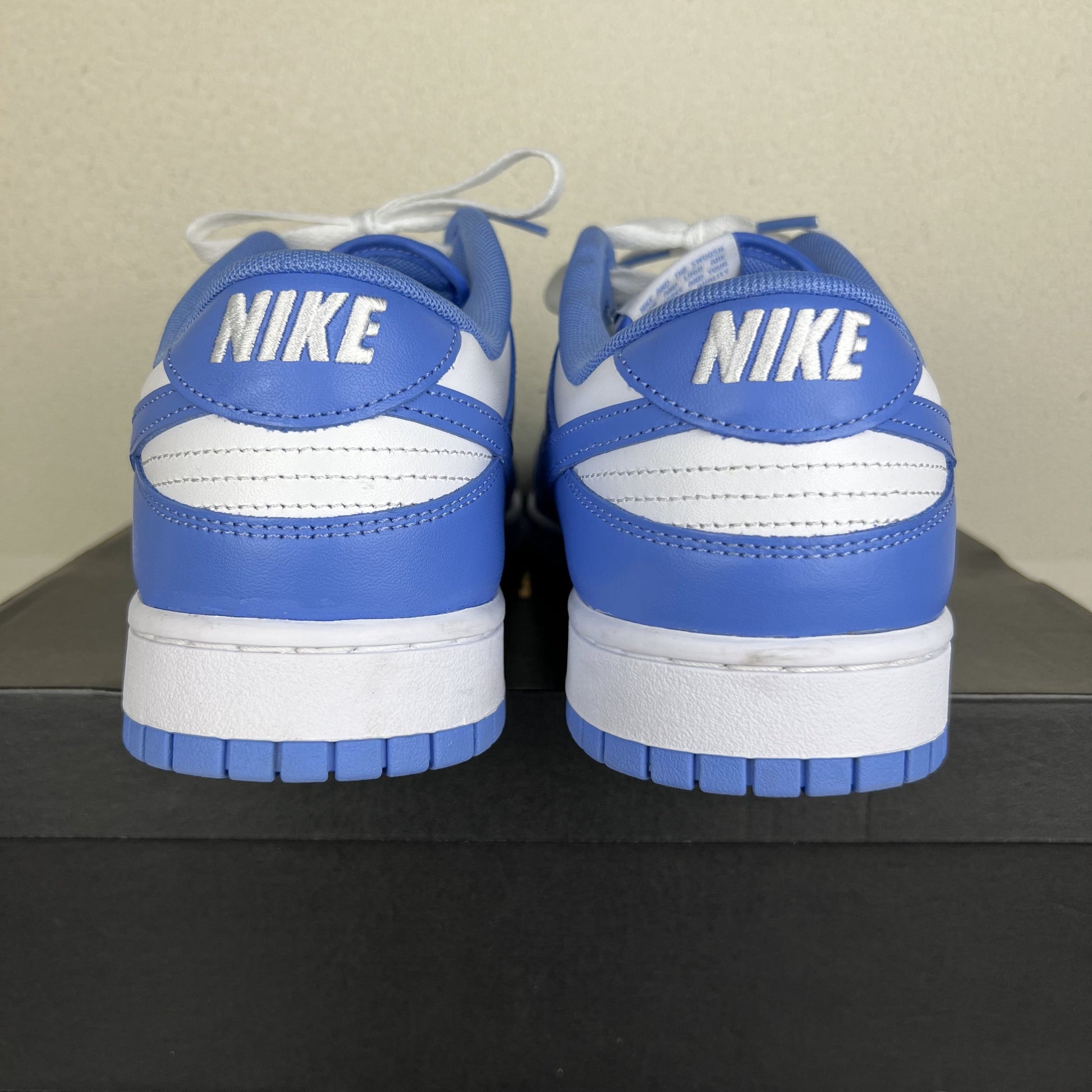 Nike Dunk Low Polar Blue