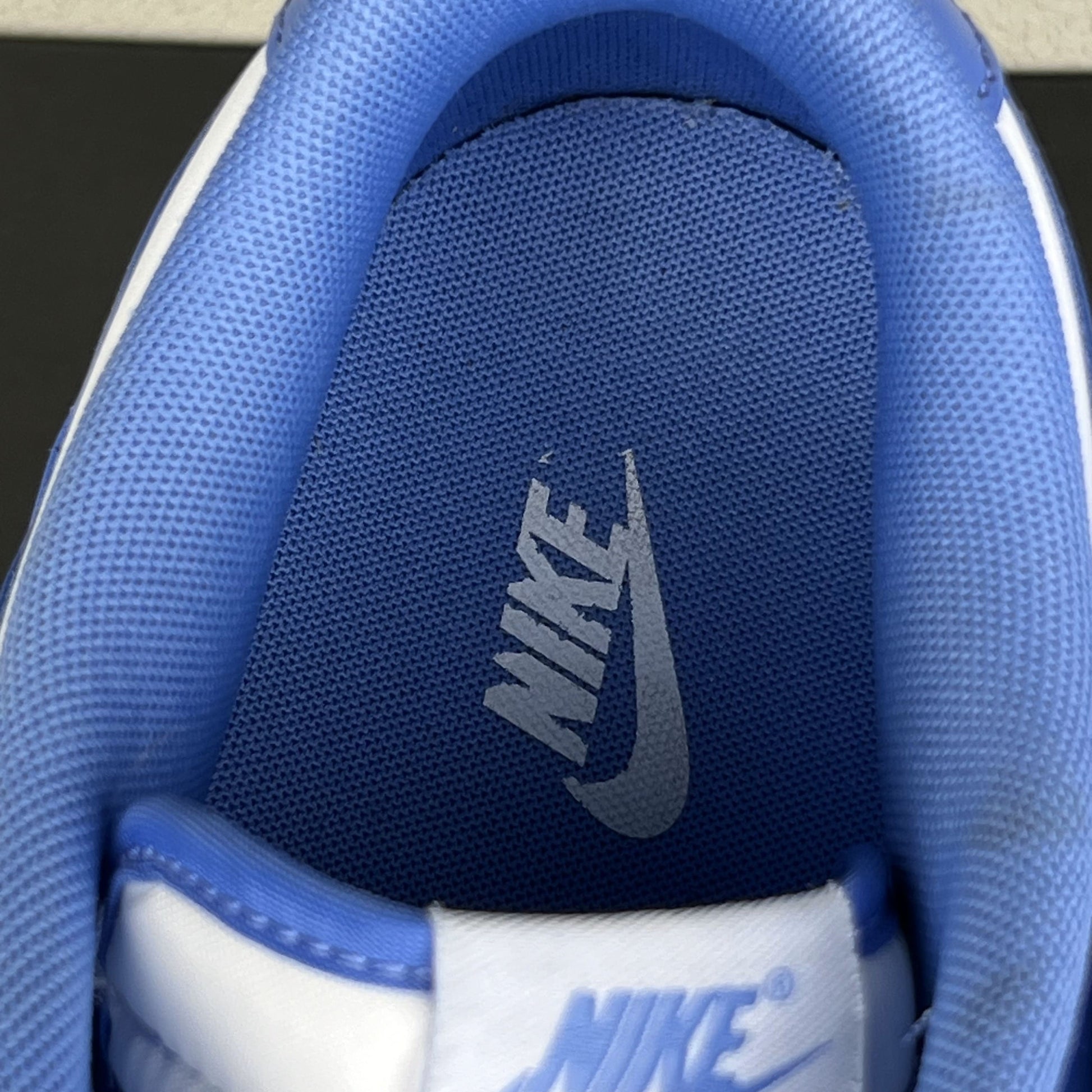 Nike Dunk Low Polar Blue